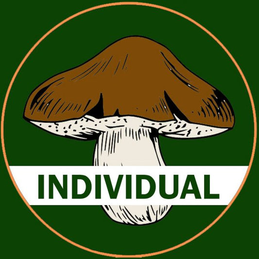 Membership for North Texas Mycological Association (Exp. Dec. 31st)